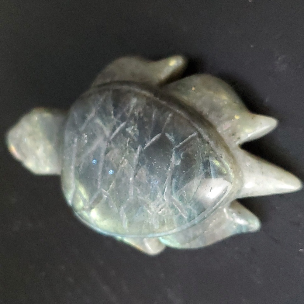 🐢 Labradorite Turtle 🐢 - Picture 3 of 7